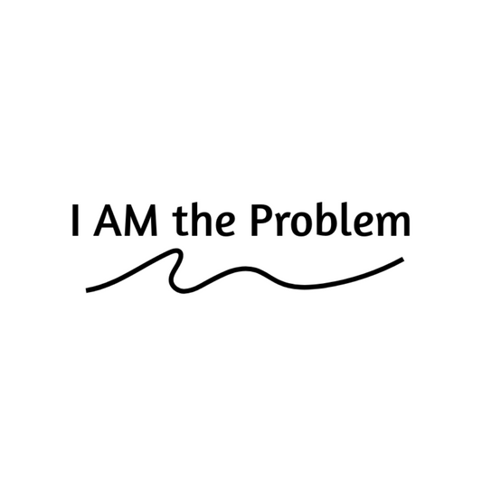 I AM THE PROBLEM